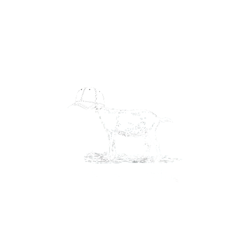 Capra Clothing